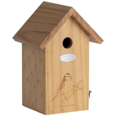 Nido Pajaros Silueta Herrerillo Azul